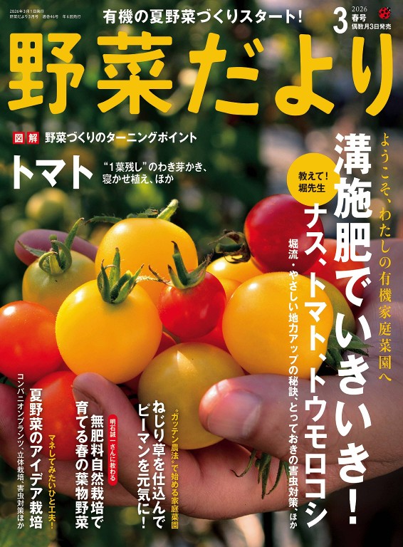 野菜だより 2026年3月号