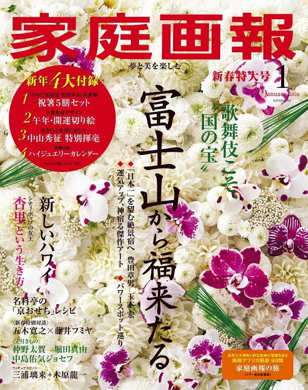 家庭画报